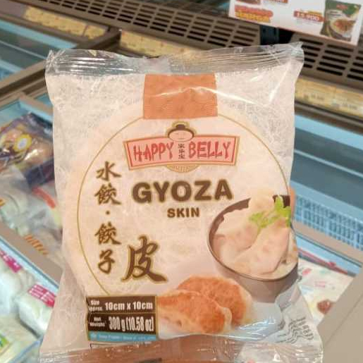 

TYJ KULIT GYOZA SKIN 300GR