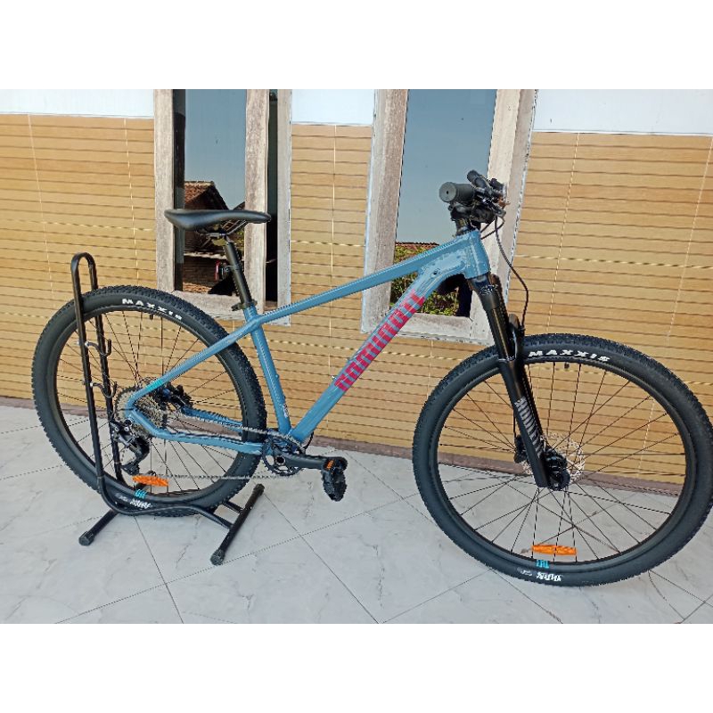 DOMINATE A ONE BASE 29ER