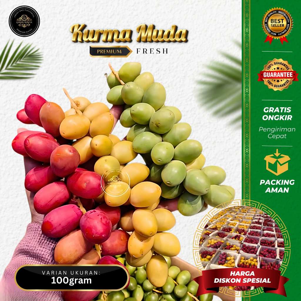 

KURMA MUDA FRESH SEGAR 100G - Kurma Muda Kuning Fresh Kurma Muda Merah Kurma Muda Hijau Segar Ruthob