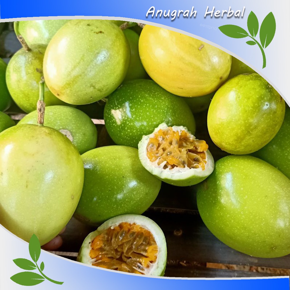 

Buah Markisa Segar 1 kg - Markisa Kuning Matang