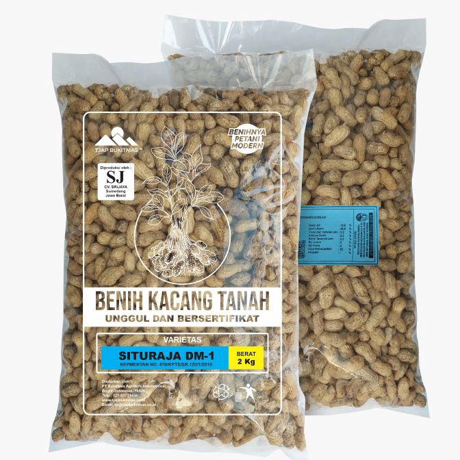 Promo Benih Kacang Tanah 1kg Varietas Situraja DM1 Orinal Tjap Bukitmas untuk kacang garuda dan dua 