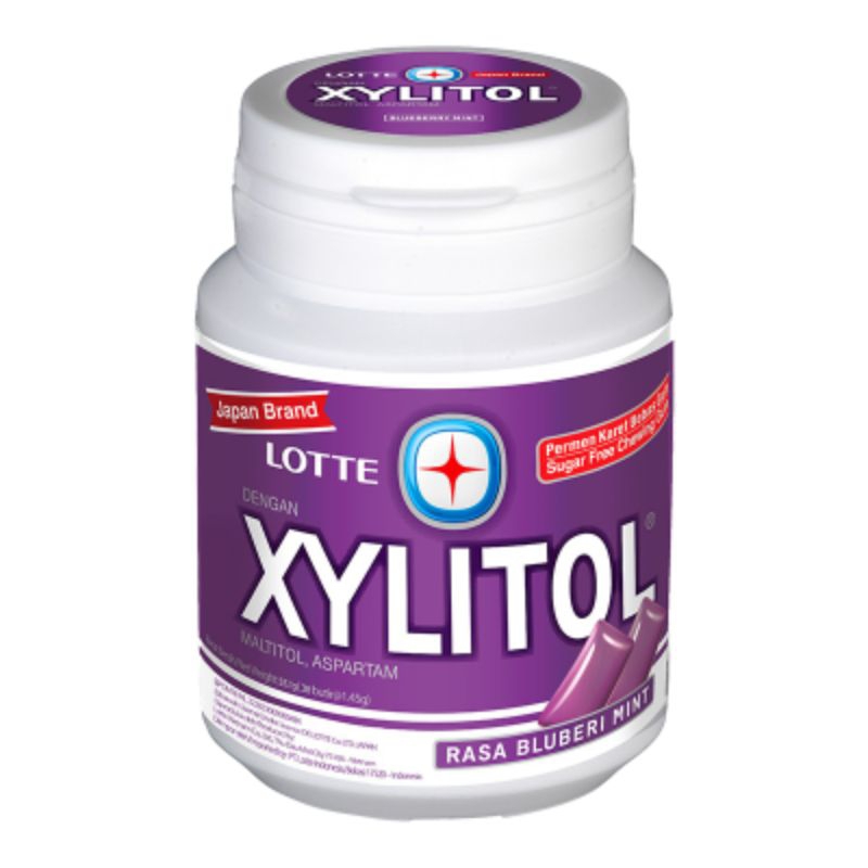 

LOTTE XYLITOL Permen Karet Bluberi Mint 55.1 g