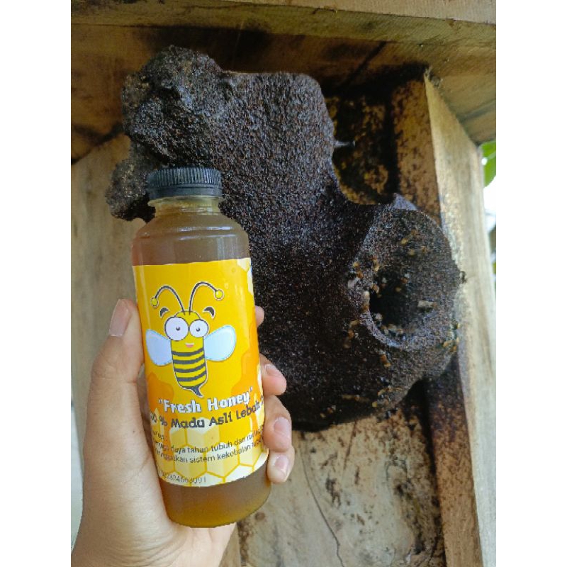

Fresh Honey