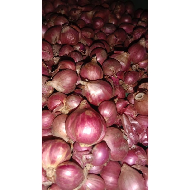 

bawang merah jumbo 1 kg