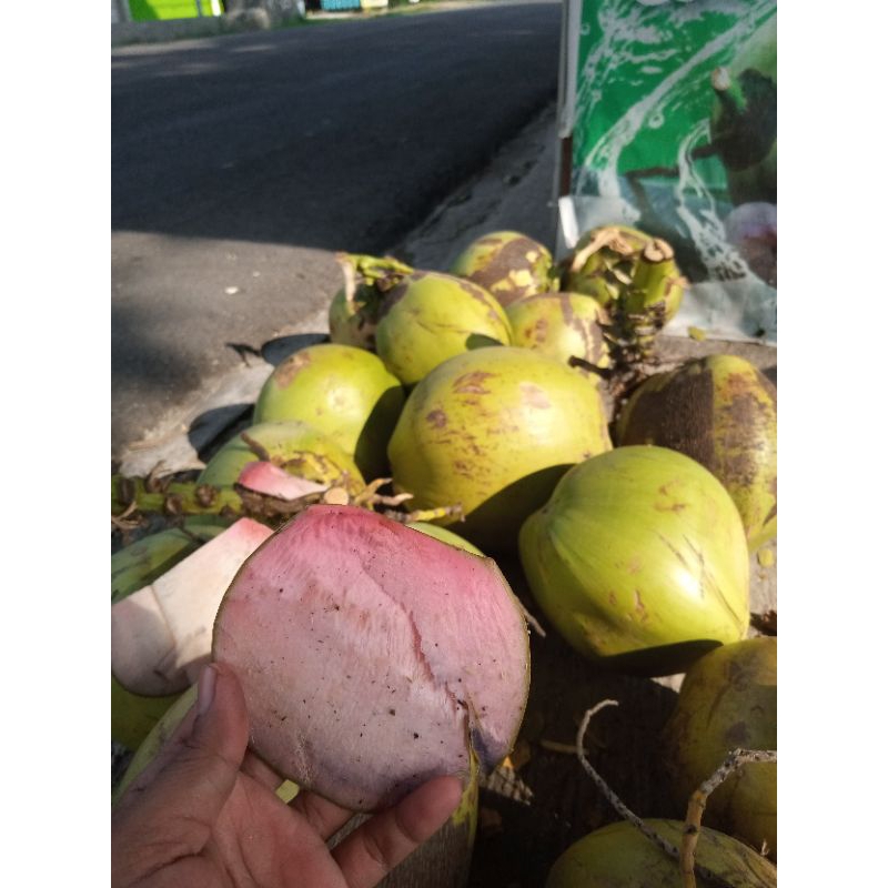 

Degan sereh