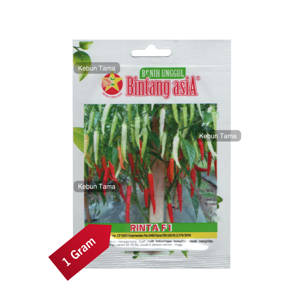 Benih Cabai Rawit Cabe Rinta F1 Bintang Asia