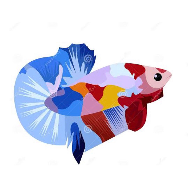 Avatar Nebula series 1 Pasang