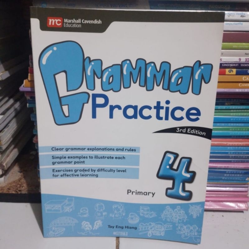 Grammar practice primary 4