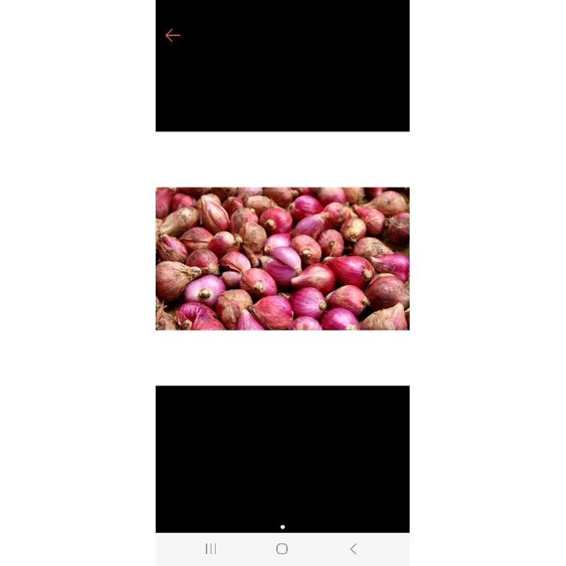 

bawang merah 1kg