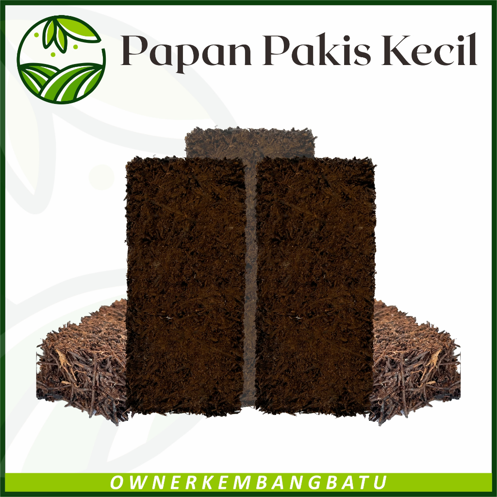 Papan Pakis Tempel Tanaman Anggrek -  Media Papan Tempel Anggrek