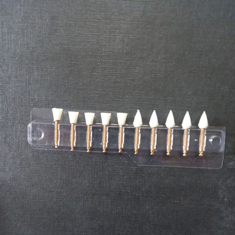 Enhance Bur / Bur Polish Enhance Dental Low Speed