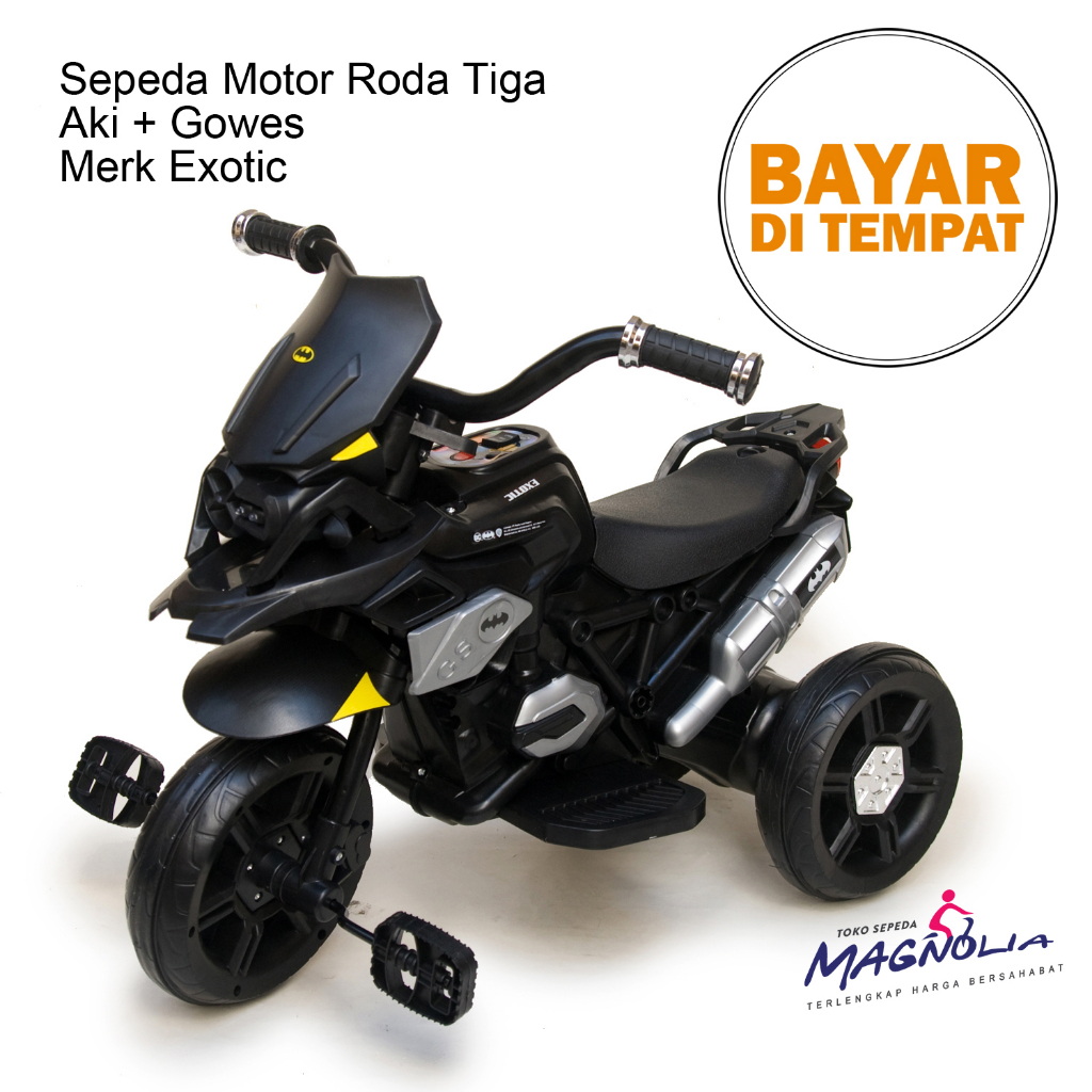 Motor Roda 3 Tiga Anak Sepeda Motor Aki Anak 1-3 Tahun