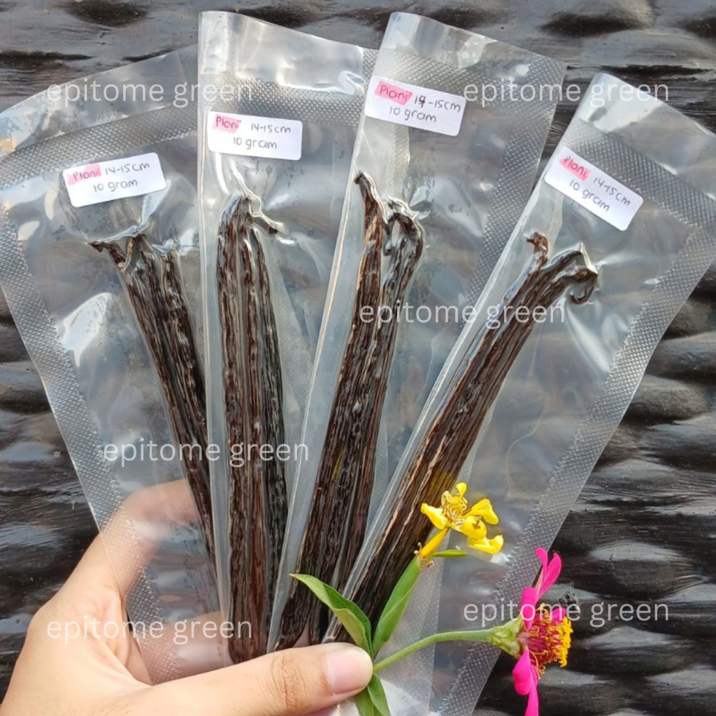 

TERMURAH!!! BATANG VANILLA TAHITIAN DAN PLANIFOLIA BISA ECER PER 10 GRAM