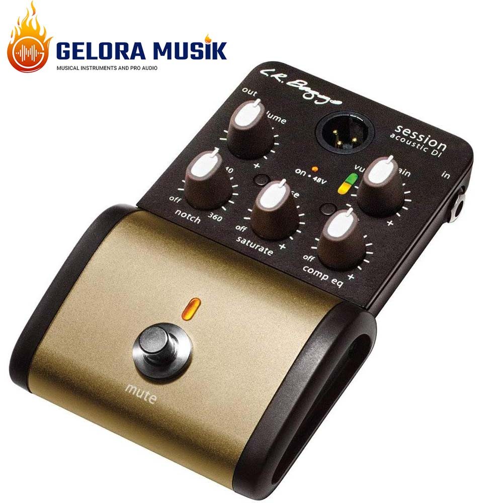 Preamp Akustik LR Baggs Session DI