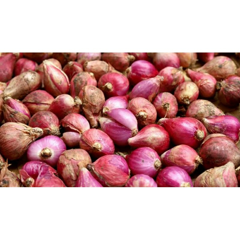 

Bawang Merah 2 kg