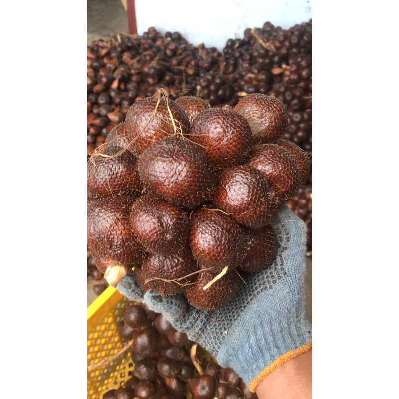 

salak pondoh pronojiwo - langsung dari petani - dijamin fresh