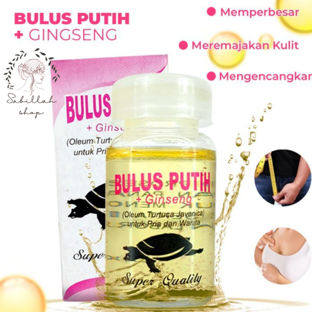 minyak bulus putih plus gingseng/minyak bulus putih termurah