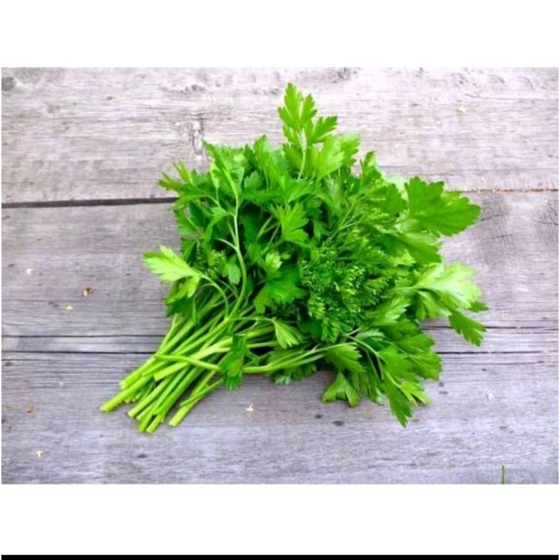 

Sayur daun pucuk parsley petersely segar fresh