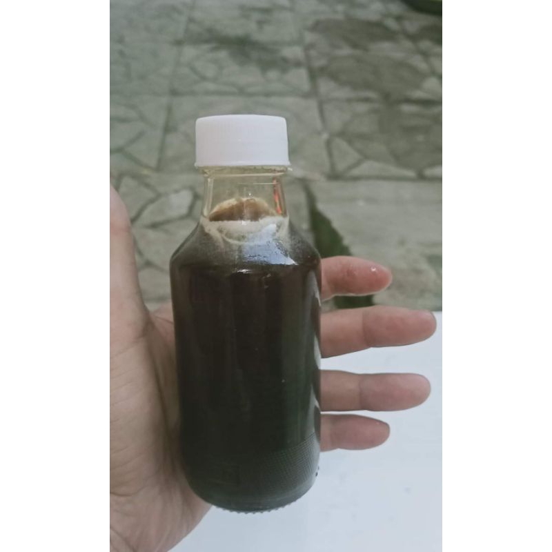 

Madu odeng hitam murni asli 100% 140ml