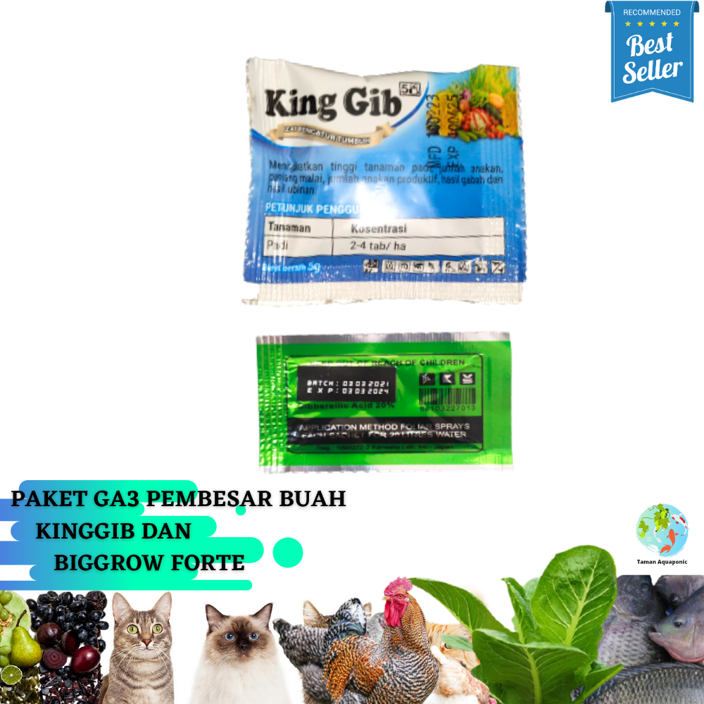 Paket GA3 King Gib dan BigGrow Forte Pembesar Buah