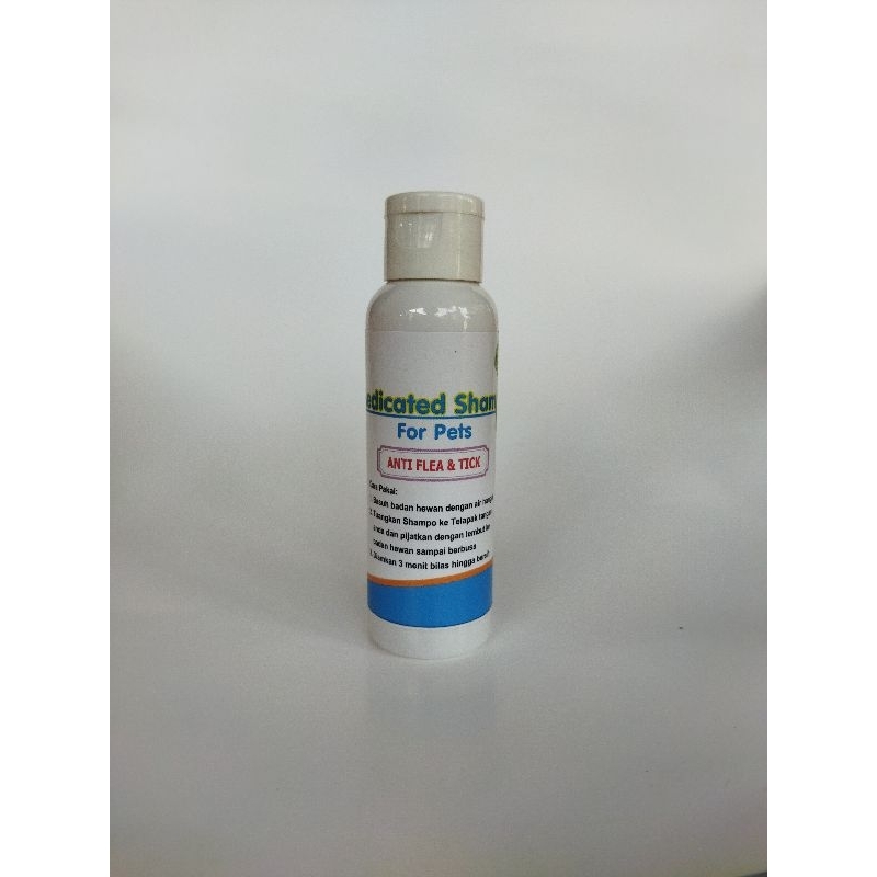 shampo kucing anti kutu
