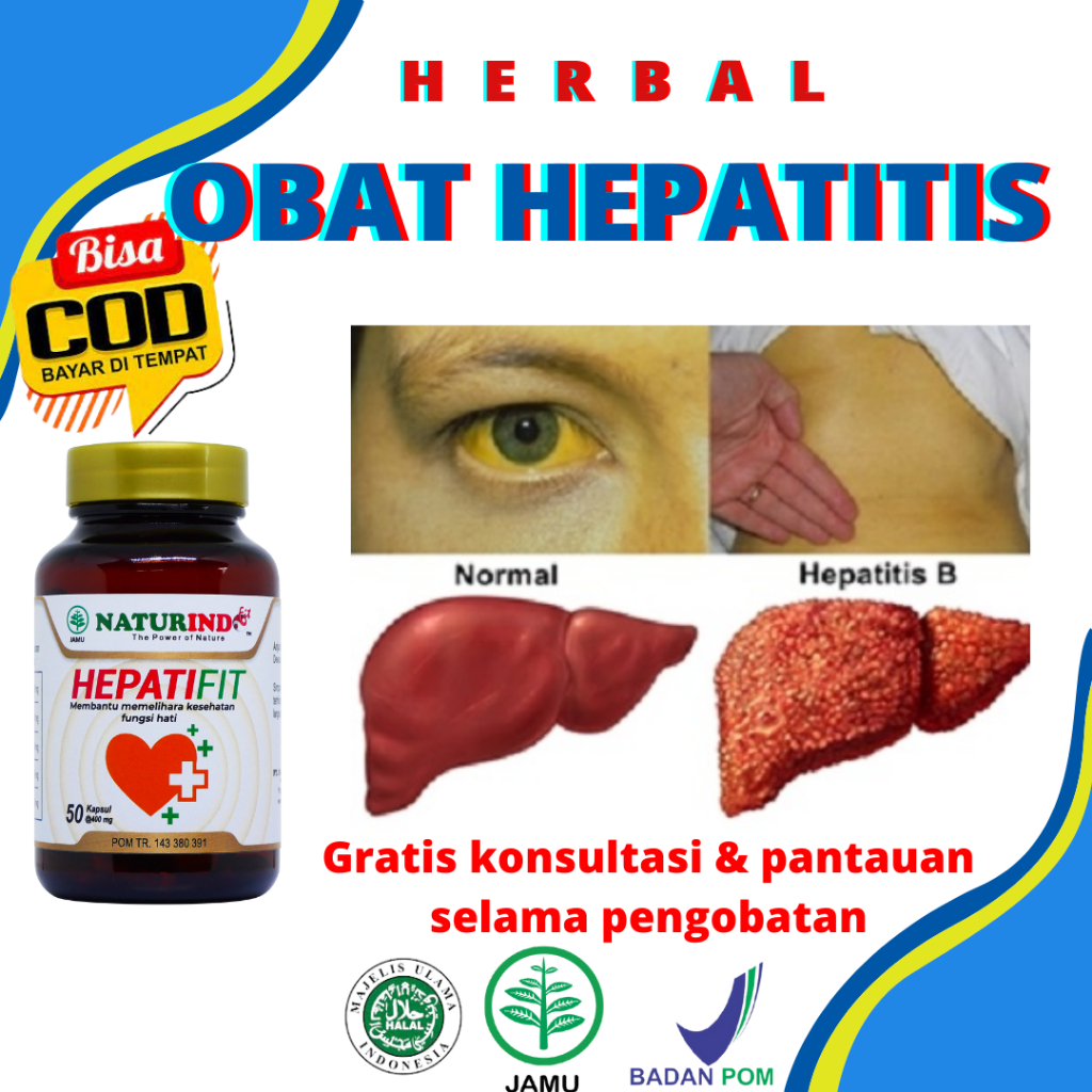 Kesehatan Hati Obat Batu Empedu Obat Liver Batu Empedu Obat Batu Empedu Paling Ampuh Obat Herbal Bat