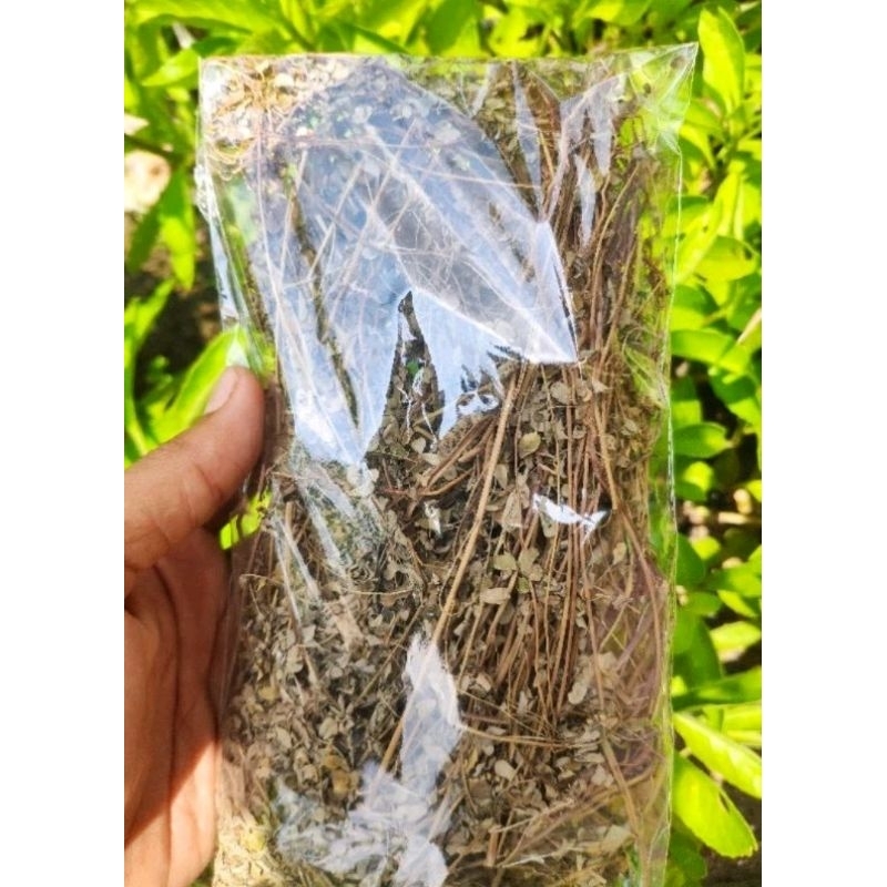 

teh daun meniran asli kering paket komplit obat herbal per 100 gram