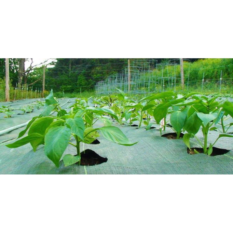 Weedmat / Terpal Mulsa Tanaman /Alas Greenhouse 1,2m