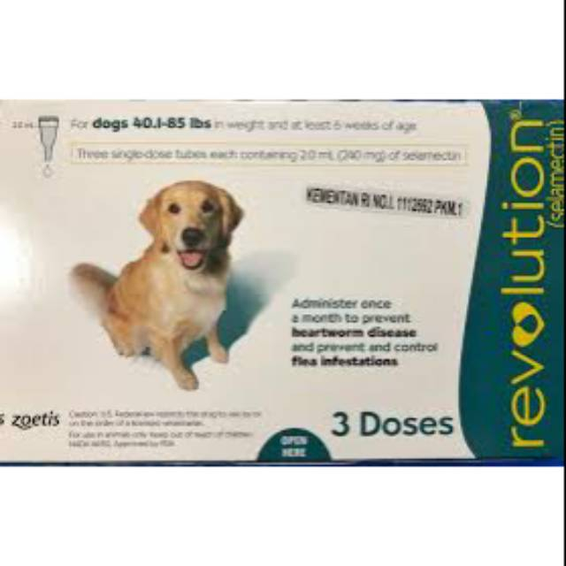 REVOLUTION DOG TEAL (LARGE DOG 21-40 KG)