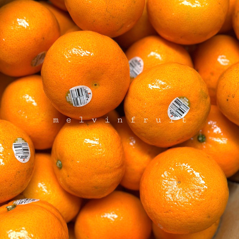 

Jeruk Murcot Australia fresh