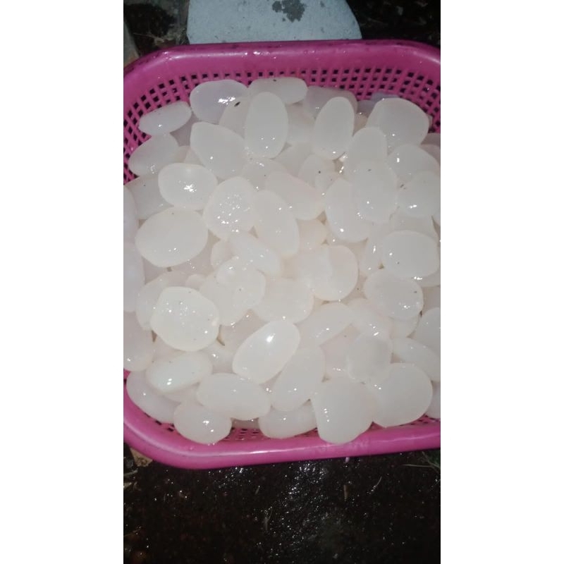 

KOLANGKALING LOKAL SUPER MENTAH
