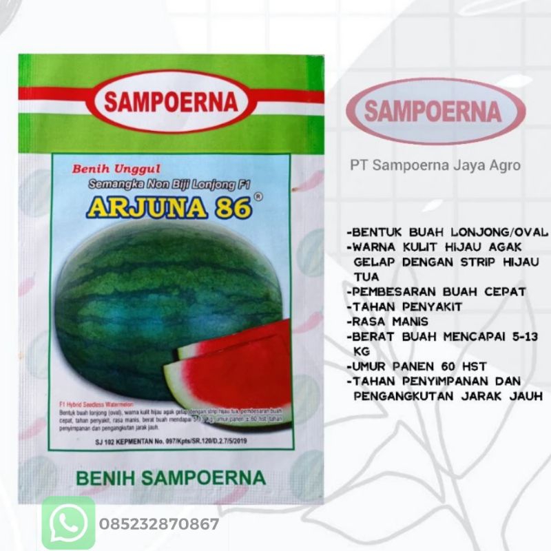 Benih semangka Non Biji Lonjong ARJUNA