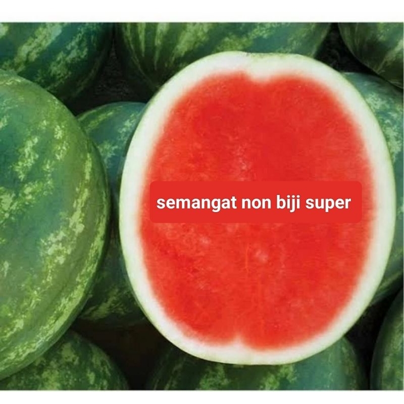 

buah semangka per buah 4kg