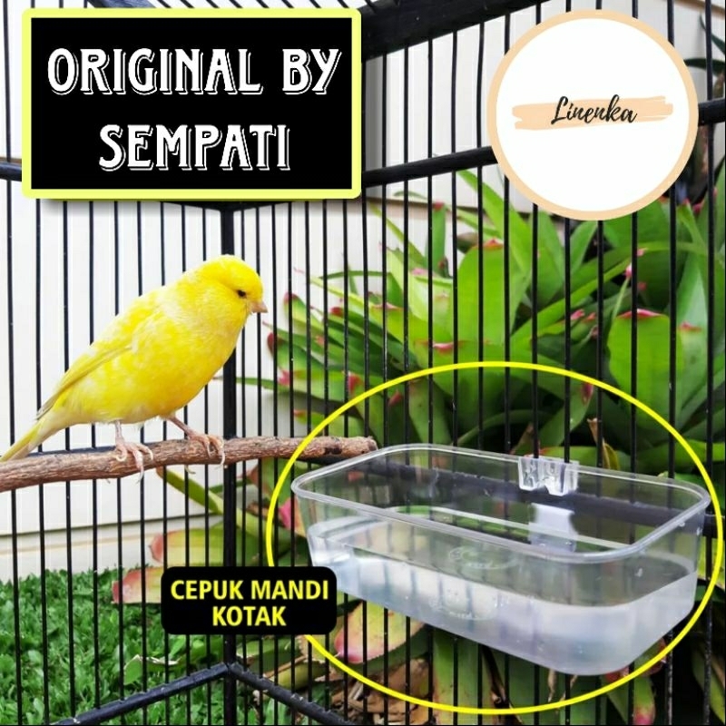 CEPUK MANDI BURUNG TEMPAT PAKAN MINUM BURUNG LOVEBIRD