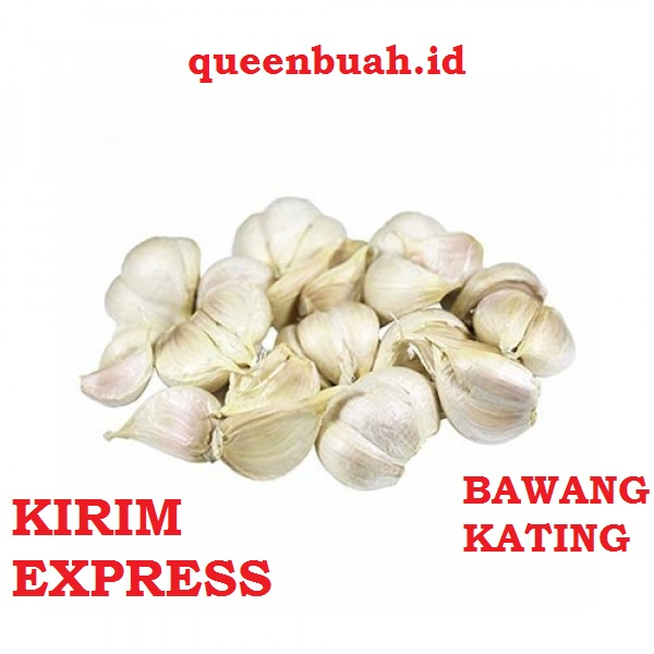 

QUEENBUAH - BAWANG PUTIH KATING WANGI GROSIR SUPER MURAH