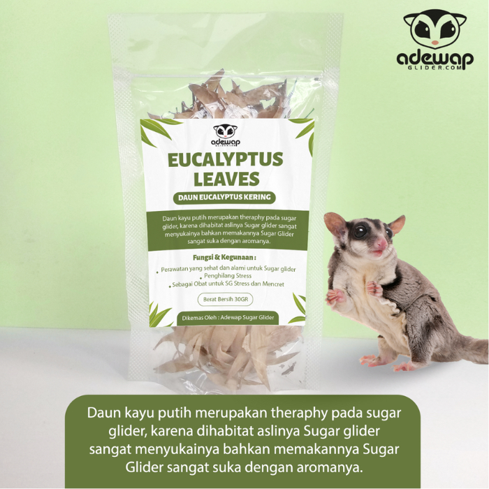 ADEWAP GLIDER Daun Eucalyptus Penghilang Stress Sugar Glider Daun Kering Penghilang Stress Hewan Peliharaan