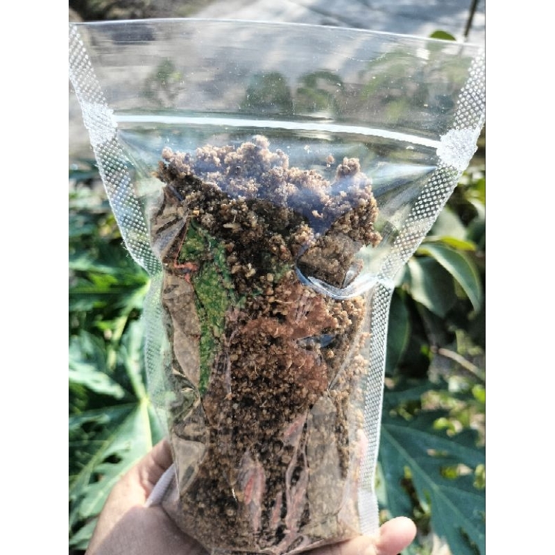 

TIWUL INSTAN RENDAH GULA
