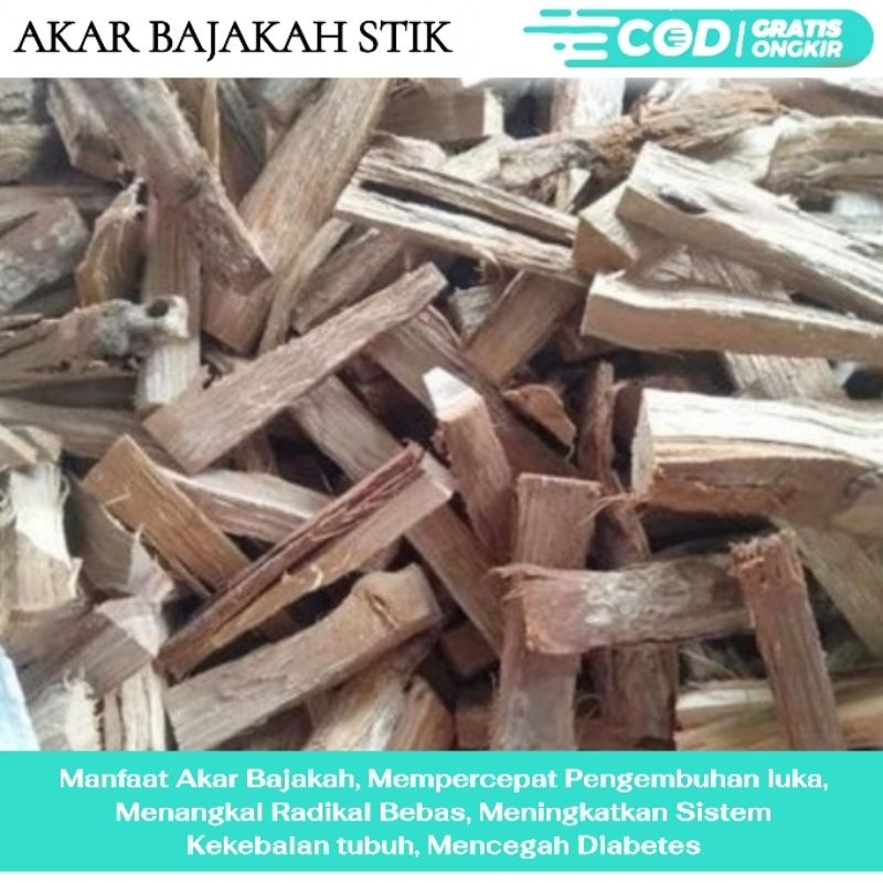 Akar Bajakah Stik Super 1Kg Obat Herbal Diabetes, Asam Urat, Asam Lambung, Sakit Kuning