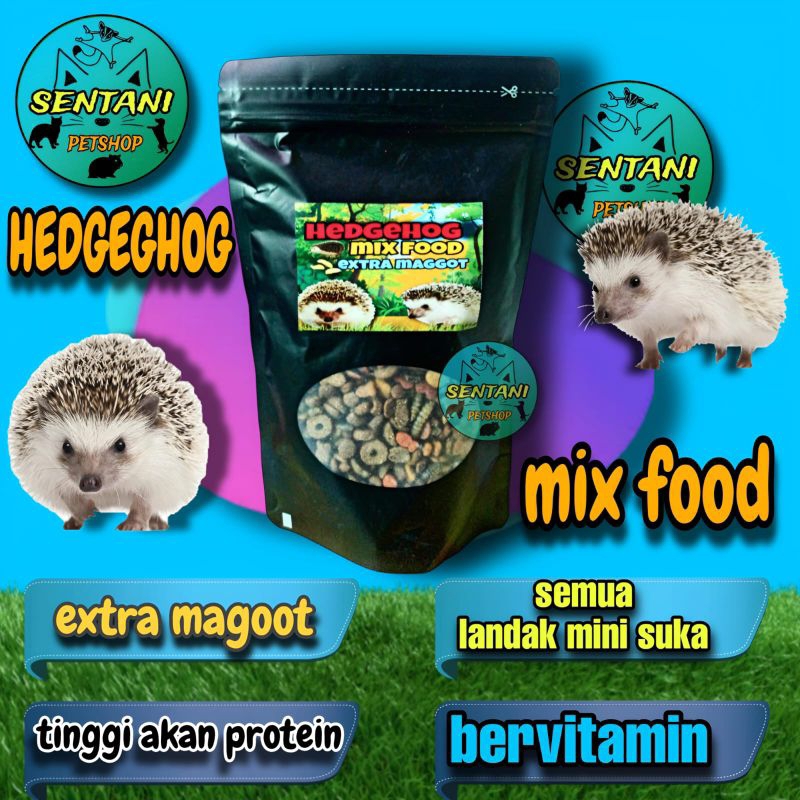 Makanan landak mini - makanan khusus landak mini campuran terbaik