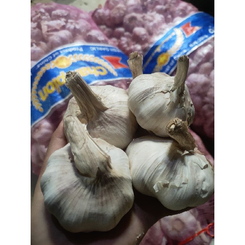 

BAWANG PUTIH 1KG
