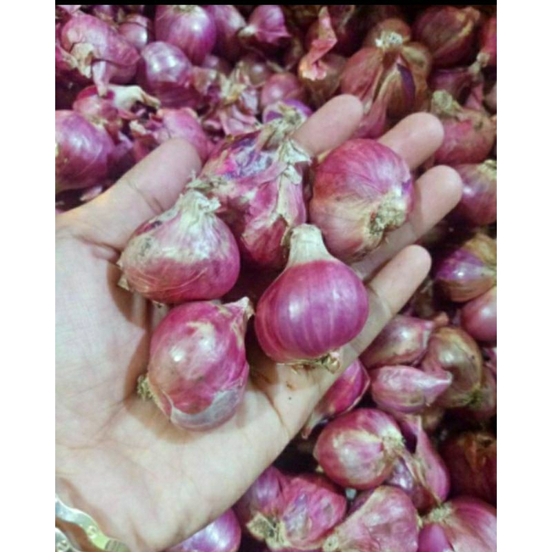 

Bawang merah brambang 1kg BAWANG PUTIH MINYAK GORENG GULA MURAH