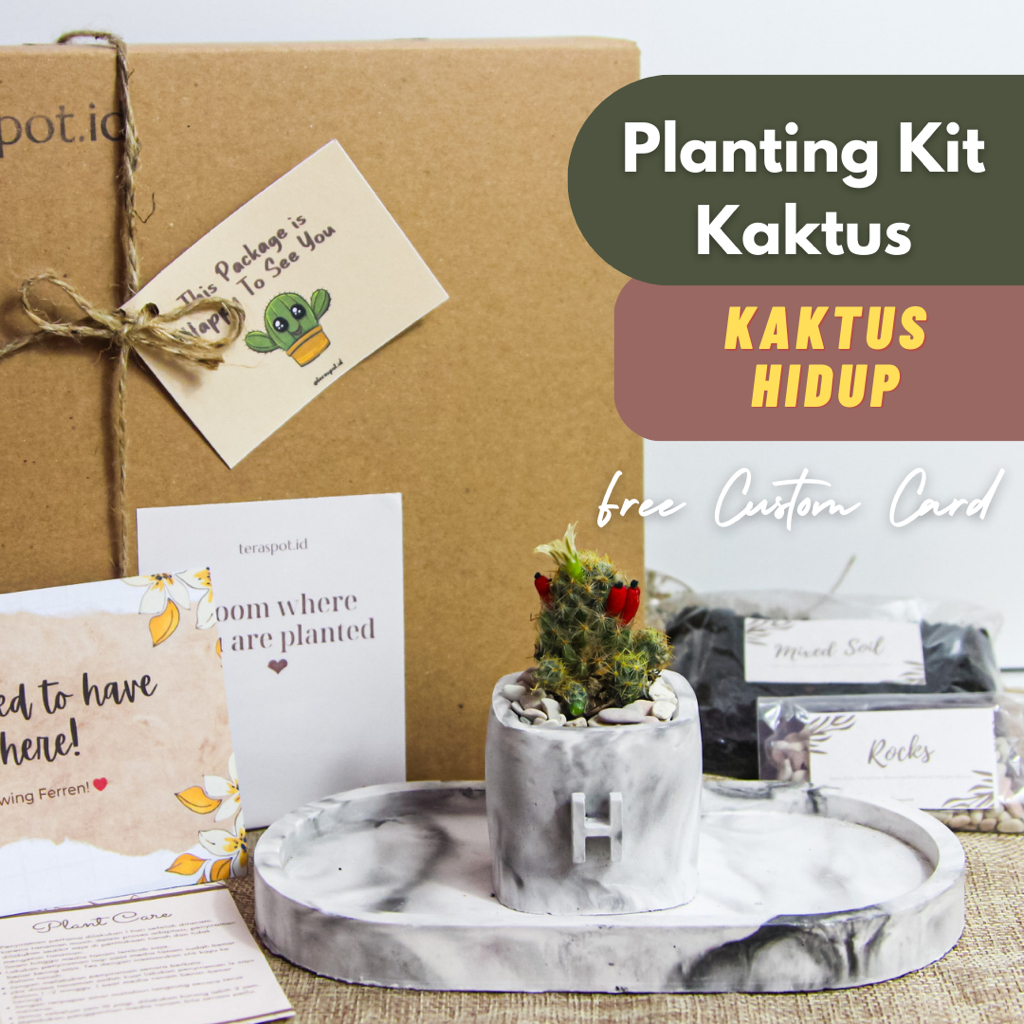 Planting Kit Kaktus Hadiah / Gift - Kaktus asli - For Birthday / Graduation / Wisuda - Souvenir