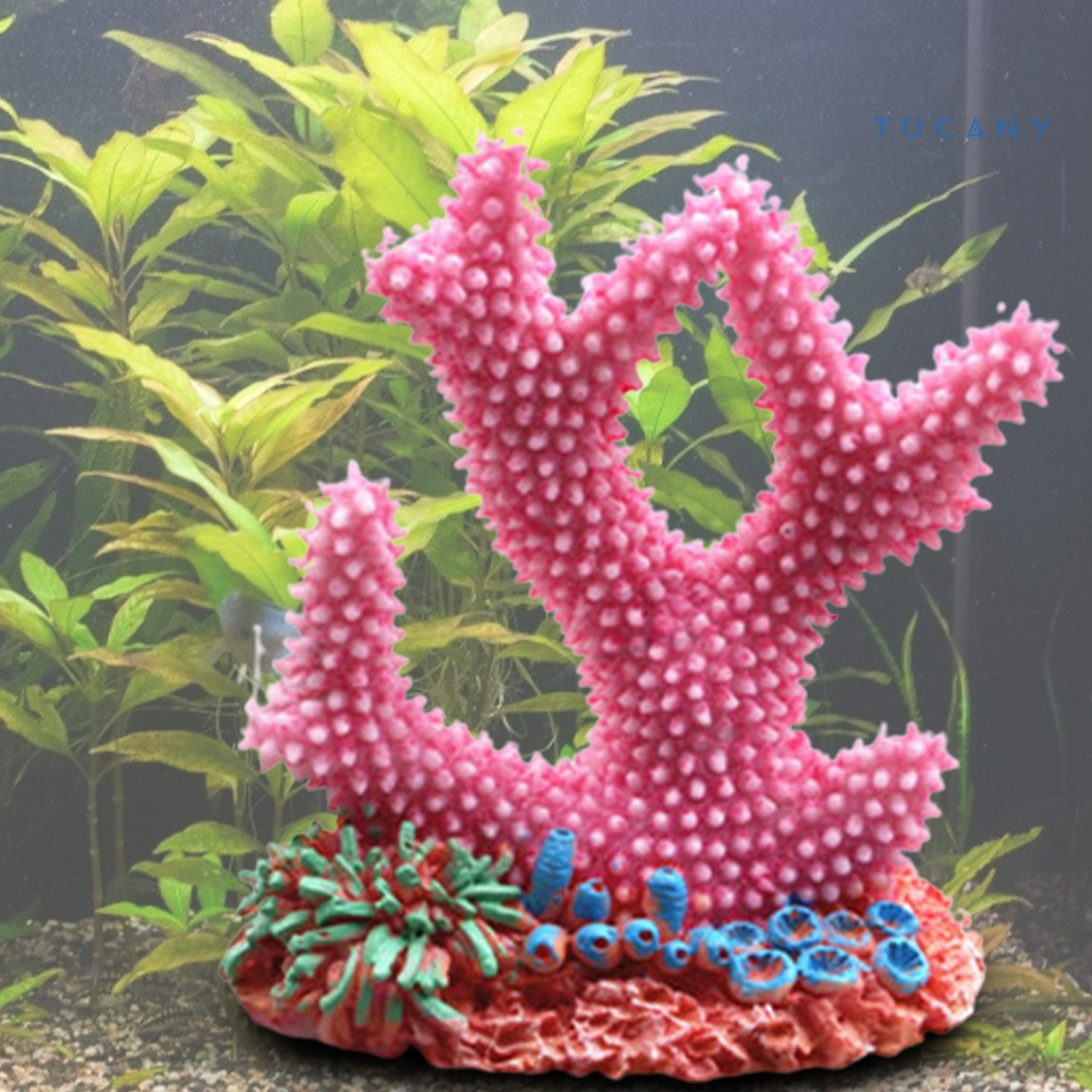 Ornamen aquarium karang gerigi, dekorasi aquarium karang gerigi, karang gerigi aquarium, hiasan aqua