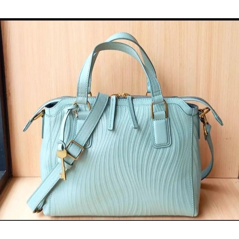 PL TAS FOSSIL