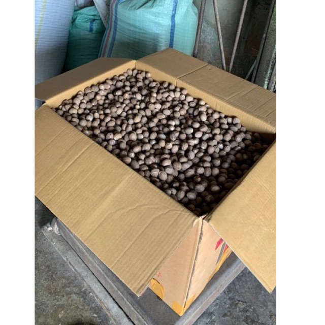 

Biji Pala Kupas 10kg