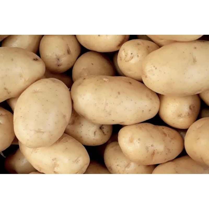 

kentang 1kg
