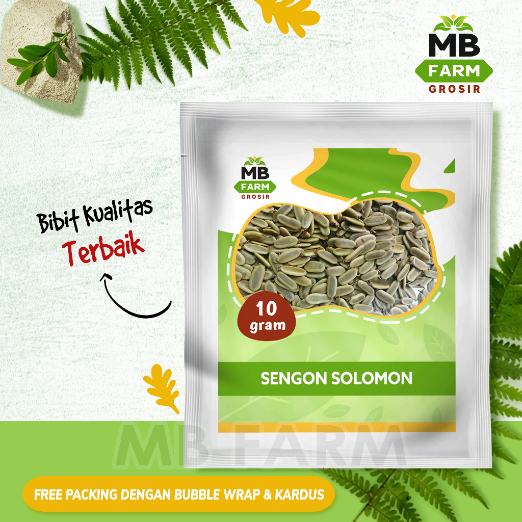 Benih pohon sengon solomon 10 gram / bibit benih sengon solomon MB FARM
