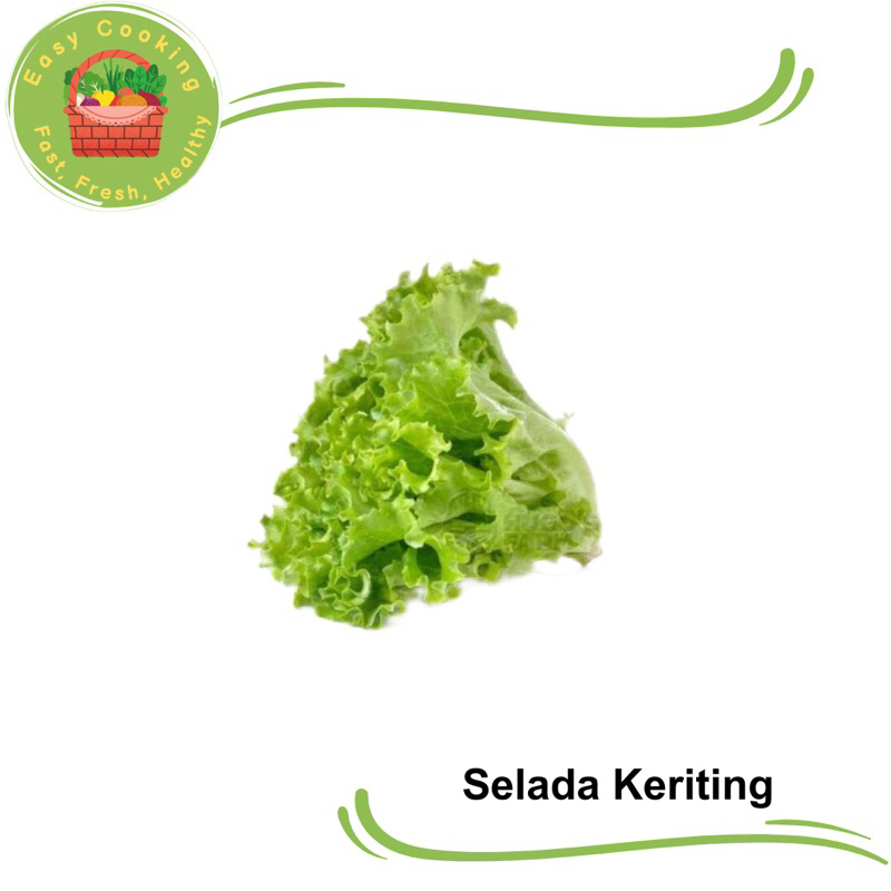 

Easycooking - Selada Keriting / Lettuce letus Curly
