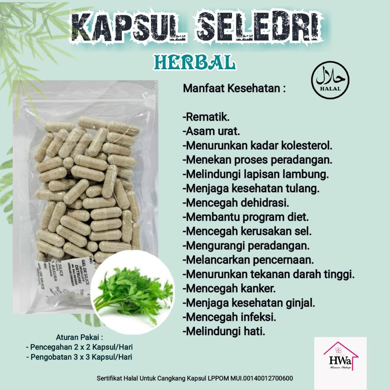 

Kapsul Seledri Herbal Nyeri Sendi dan Kolesterol isi 100 Kapsul