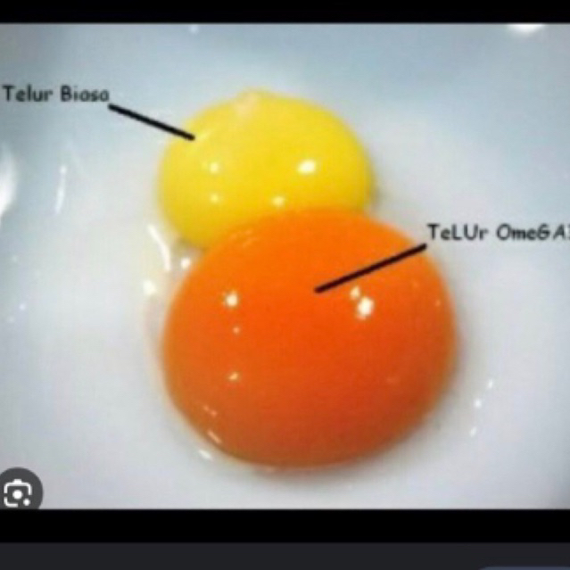 

TELUR BEBEK OMEGA (10 butir)